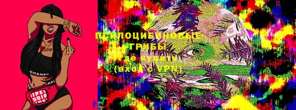 бошки Армянск
