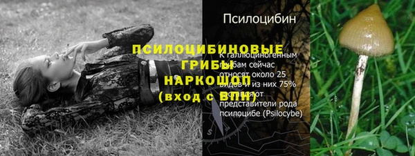 СК Алексеевка