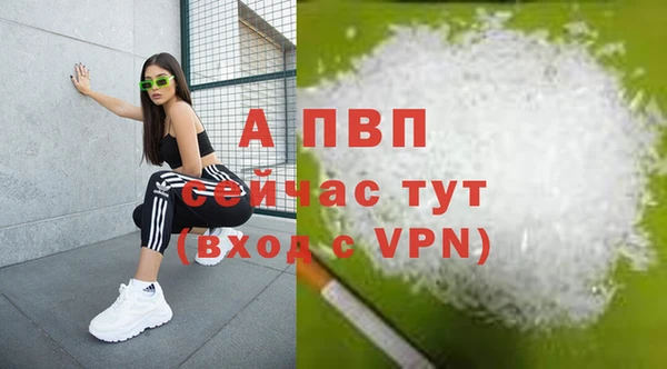 СК Алексеевка