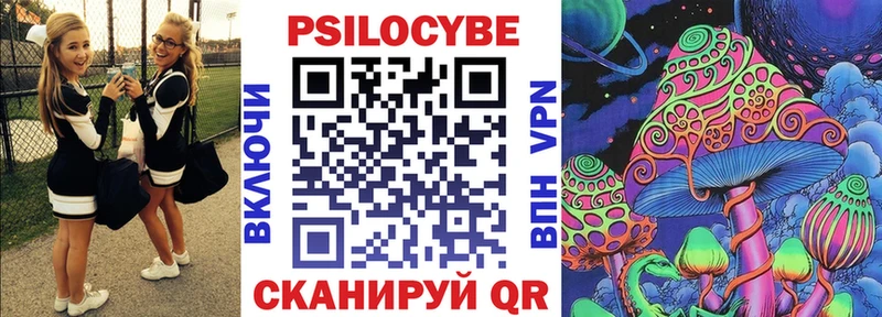дарнет шоп  Дорогобуж  Галлюциногенные грибы Psilocybe 